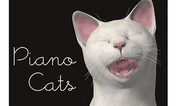 Piano Cats Free for Android - Download the APK from habererciyes
